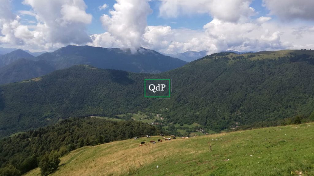 QDP-nasce-scuola-internazionale-formaggi-montagna